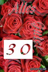 30 rote Rosen