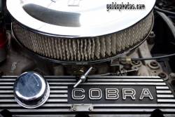 Cobra, Motor, Auto, Technik